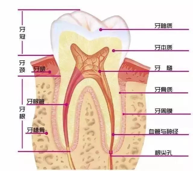 睇牙唔影片就像開車冇駕照