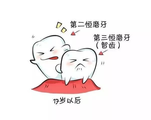 智齿：都是凭本事长出来的，凭什麼拔掉我