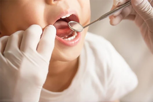 dental-health-examination-260nw-656279509